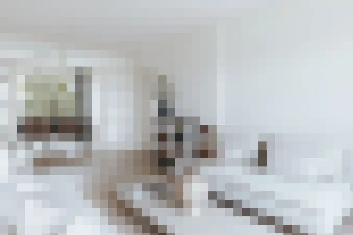 Monnetlaan 64 Utrecht thumbnail 8