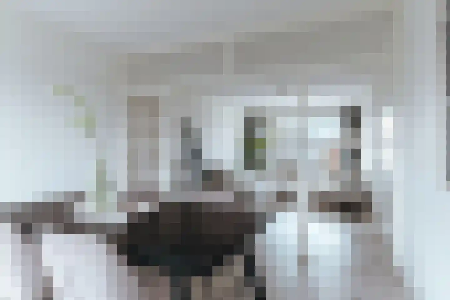 Monnetlaan 64 Utrecht thumbnail 9