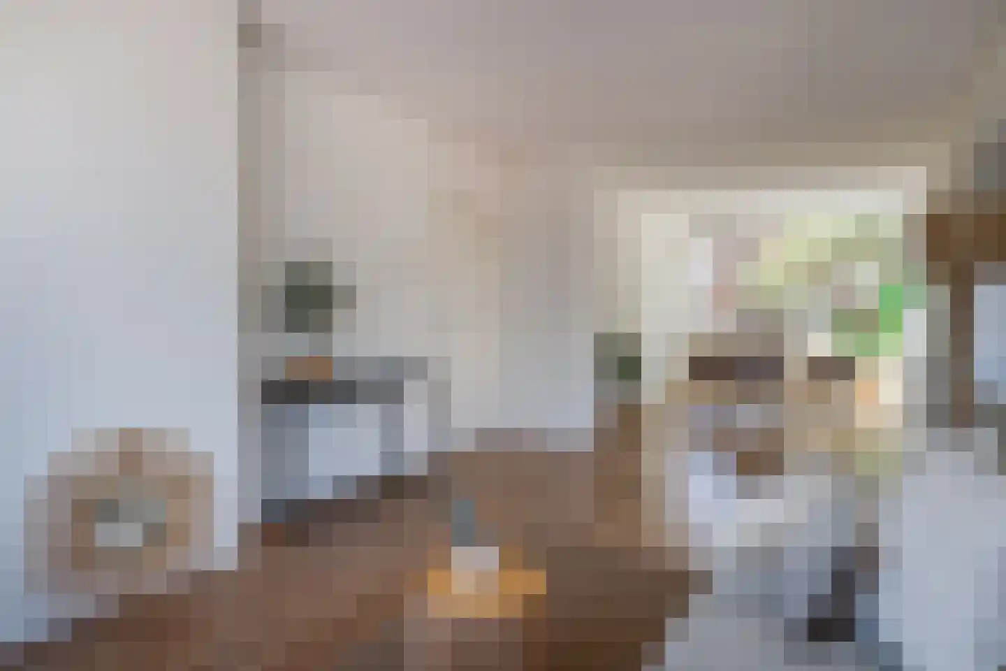 Monnetlaan 99 Utrecht thumbnail 8