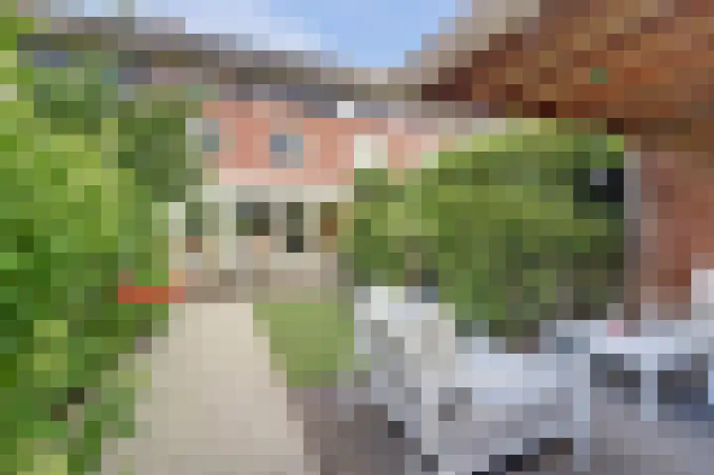 Monnetsingel 11 Ede thumbnail 38