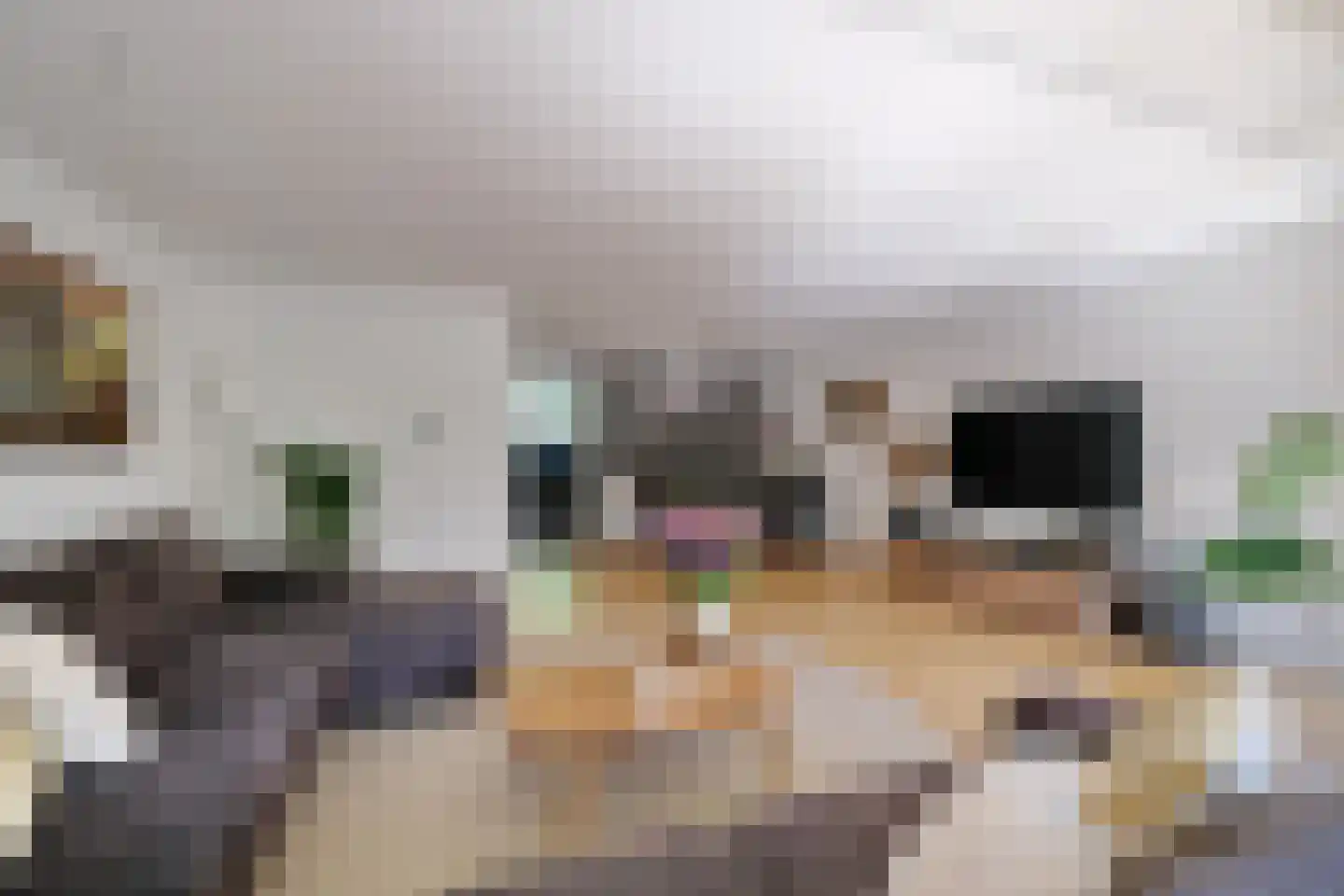 Monnetsingel 15 Ede thumbnail 6