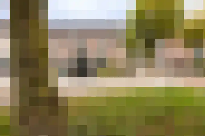 Monnetsingel 37 Ede thumbnail 5
