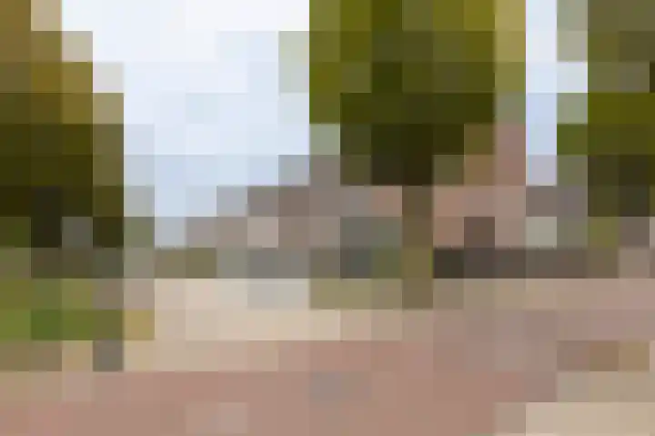 Monnetsingel 37 Ede thumbnail 6