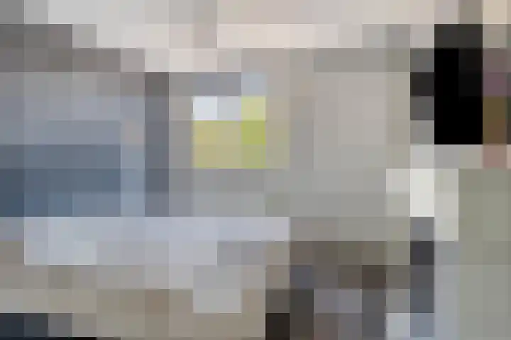 Monnetstede 1 Goes thumbnail 18