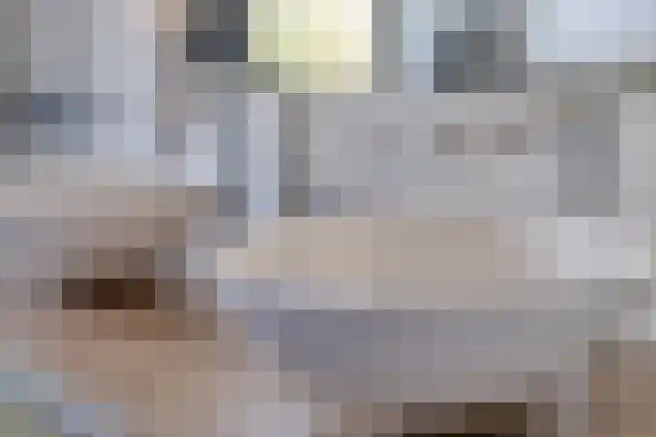 Monnetstede 1 Goes thumbnail 22
