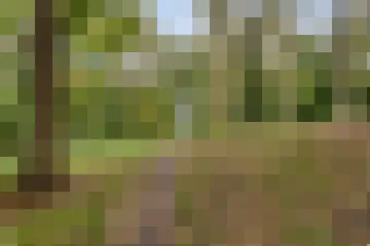 Monnetstede 1 Goes thumbnail 33