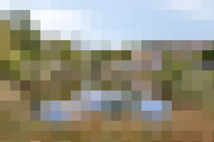 Monnetstede 1 Goes thumbnail 34