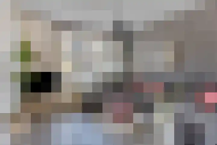 Monnetstede 1 Goes thumbnail 4