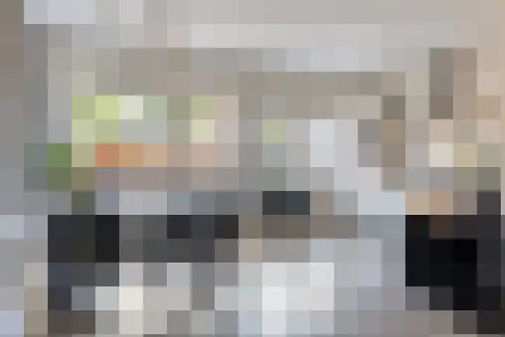 Monnetstede 1 Goes thumbnail 6