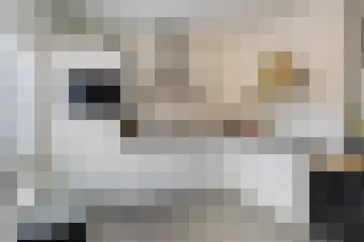 Monnetstede 1 Goes thumbnail 8