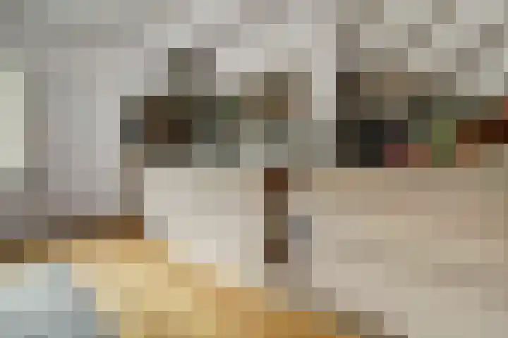 Monnetstede 17 Goes thumbnail 10