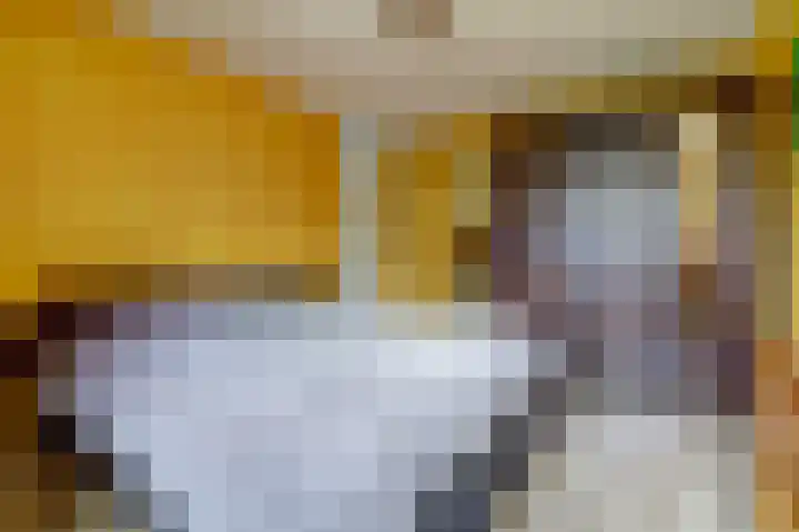 Monnetstede 17 Goes thumbnail 13