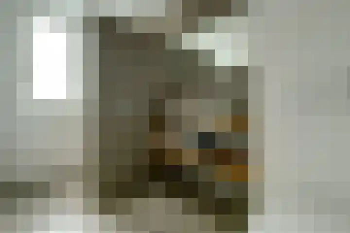 Monnetstede 17 Goes thumbnail 19