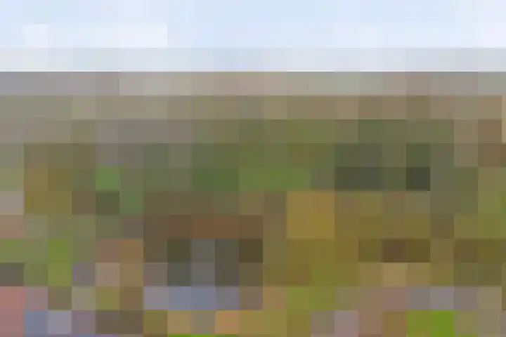 Monnetstede 17 Goes thumbnail 30