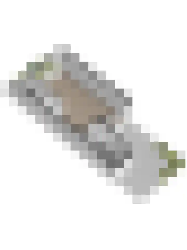 Monnetstede 17 Goes thumbnail 38