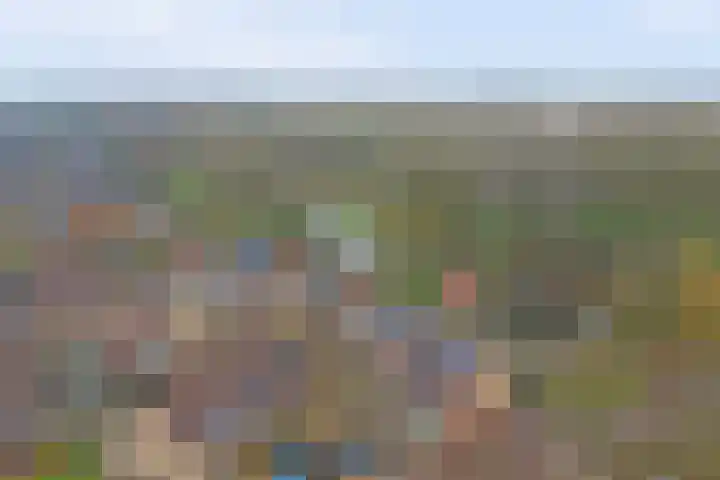 Monnetstede 17 Goes thumbnail 4