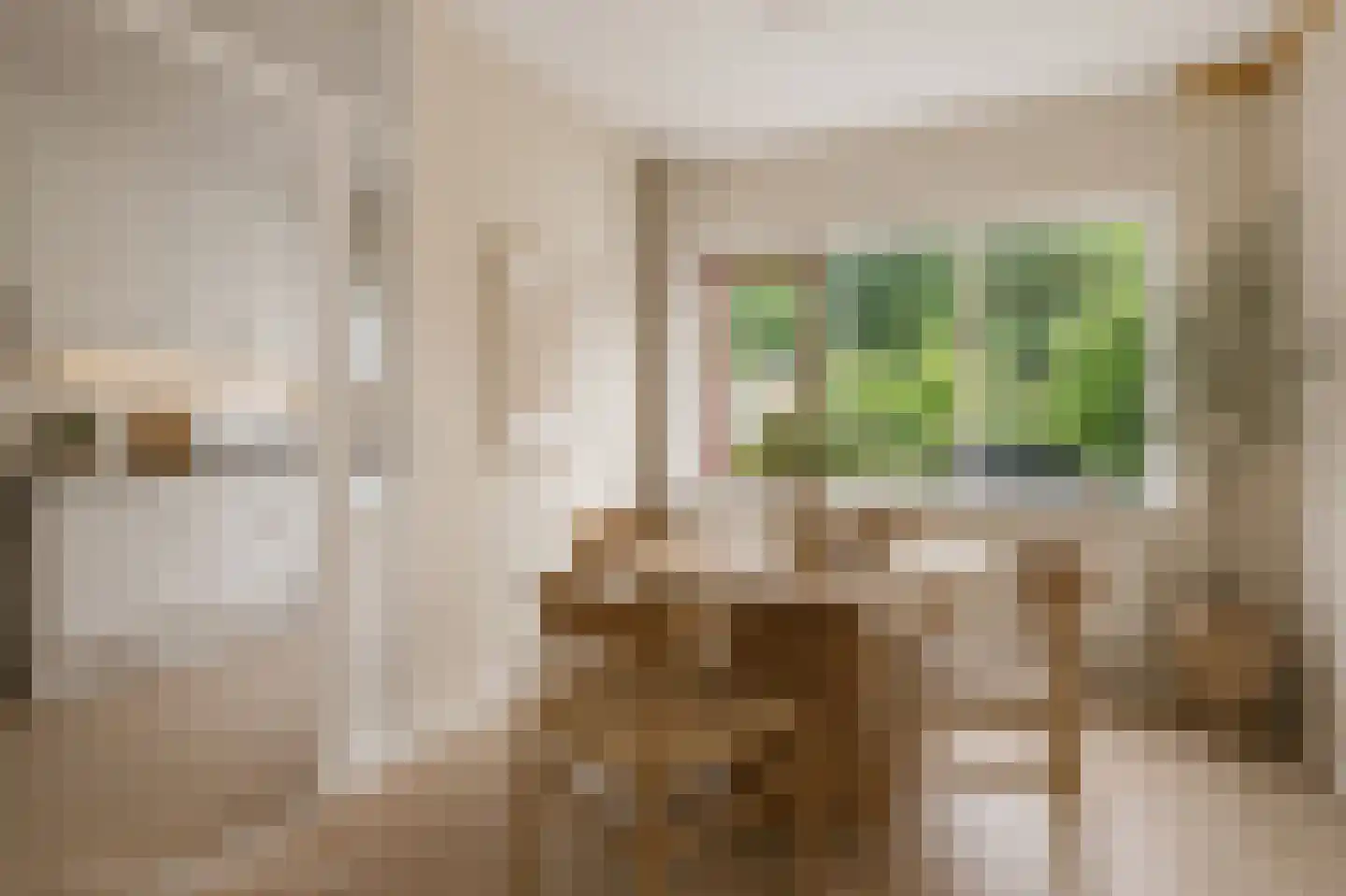 Monnetstede 20 Goes thumbnail 10