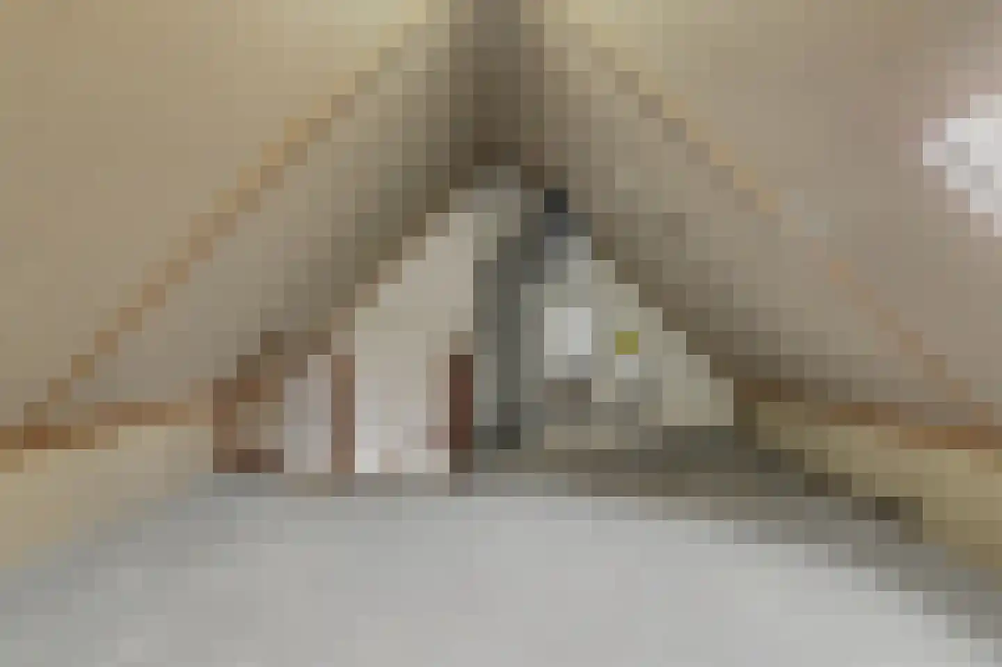 Monnetstede 20 Goes thumbnail 24