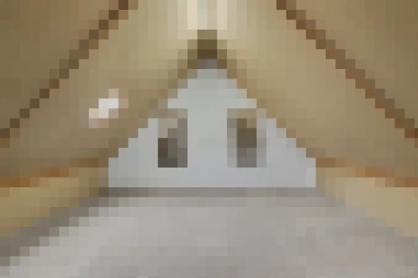 Monnetstede 20 Goes thumbnail 25