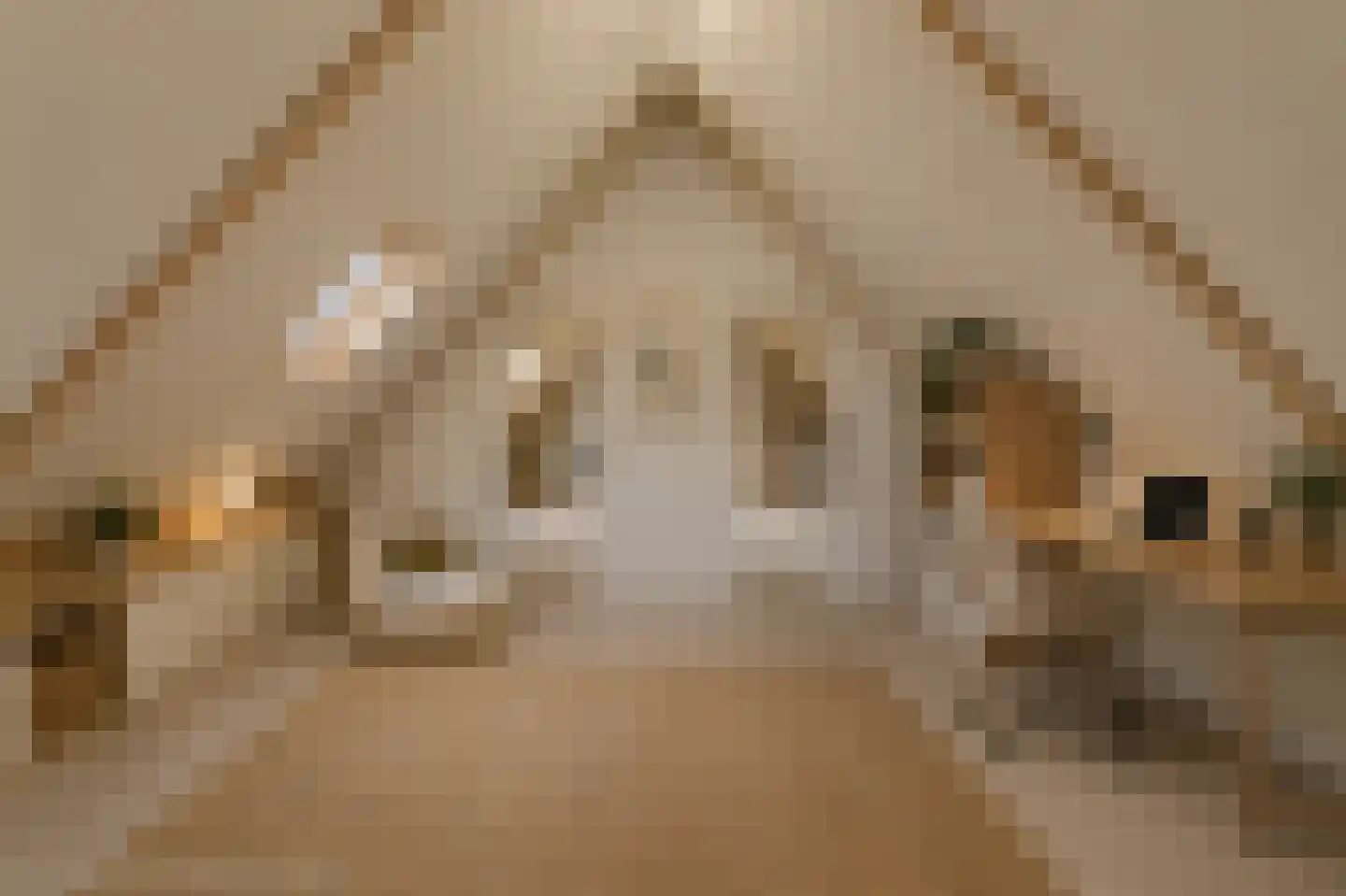 Monnetstede 20 Goes thumbnail 26