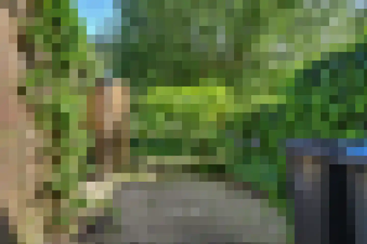 Monnetstede 20 Goes thumbnail 27