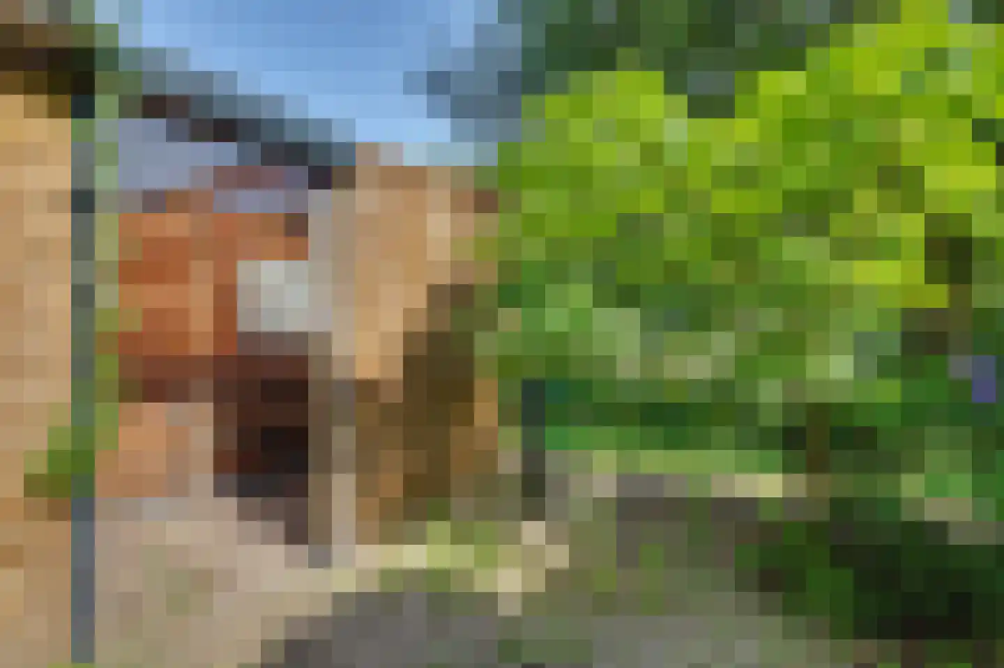 Monnetstede 20 Goes thumbnail 28