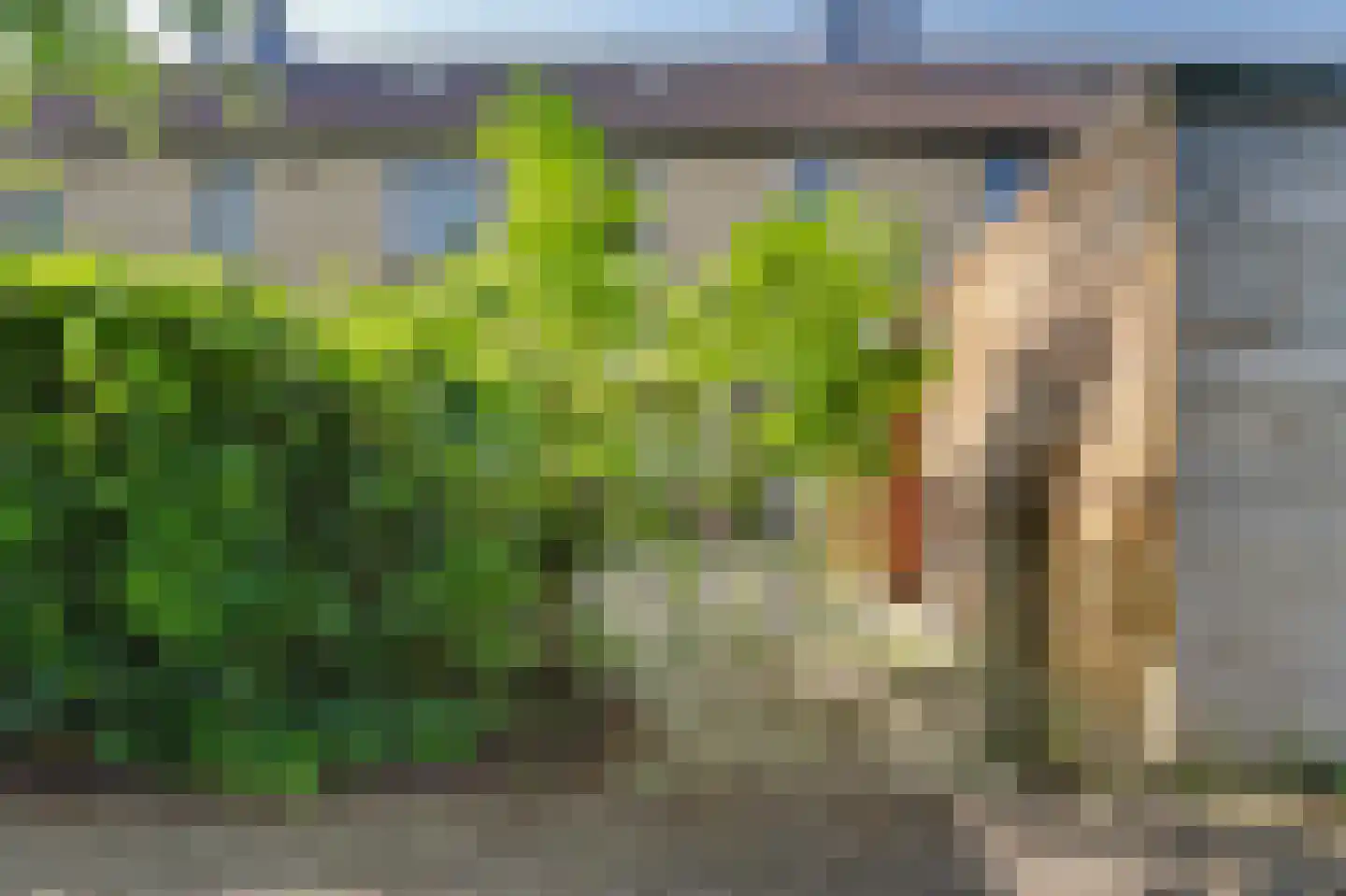 Monnetstede 20 Goes thumbnail 30
