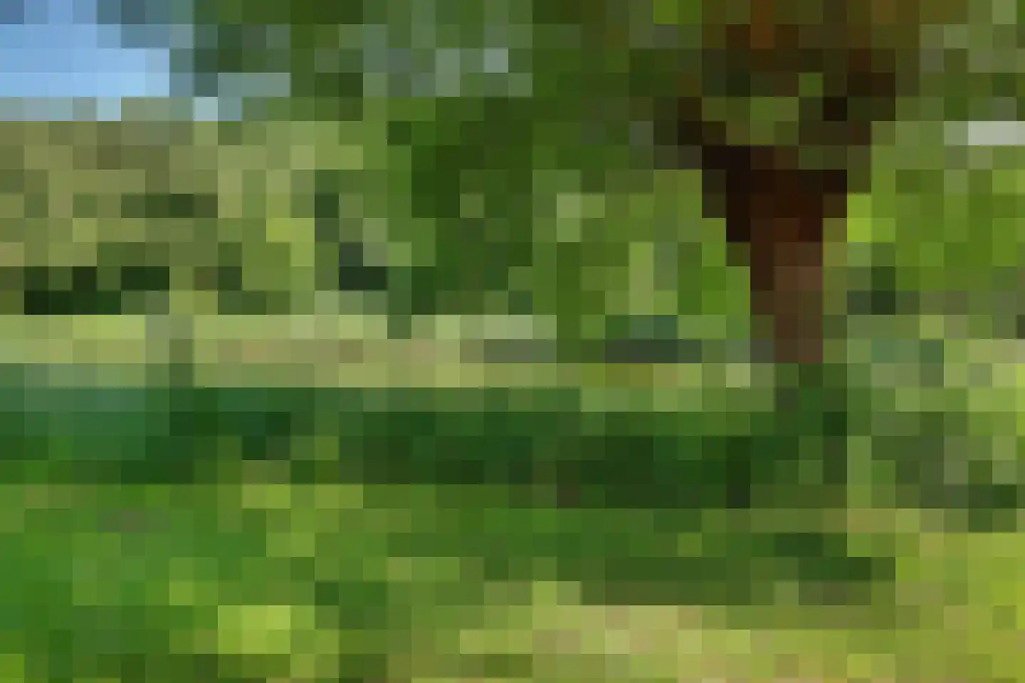 Monnetstede 20 Goes thumbnail 31