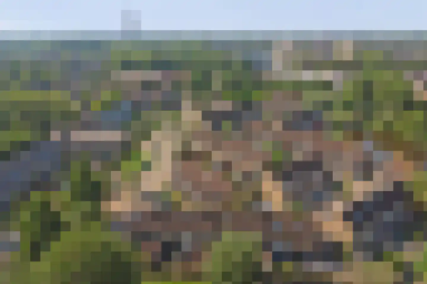 Monnetstede 20 Goes thumbnail 32