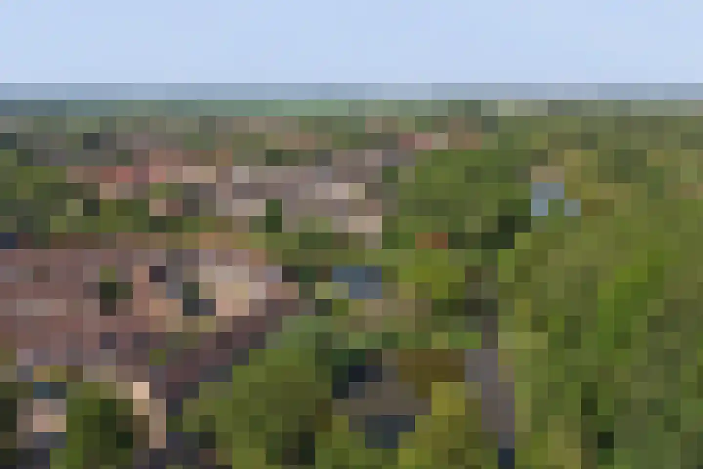 Monnetstede 20 Goes thumbnail 33