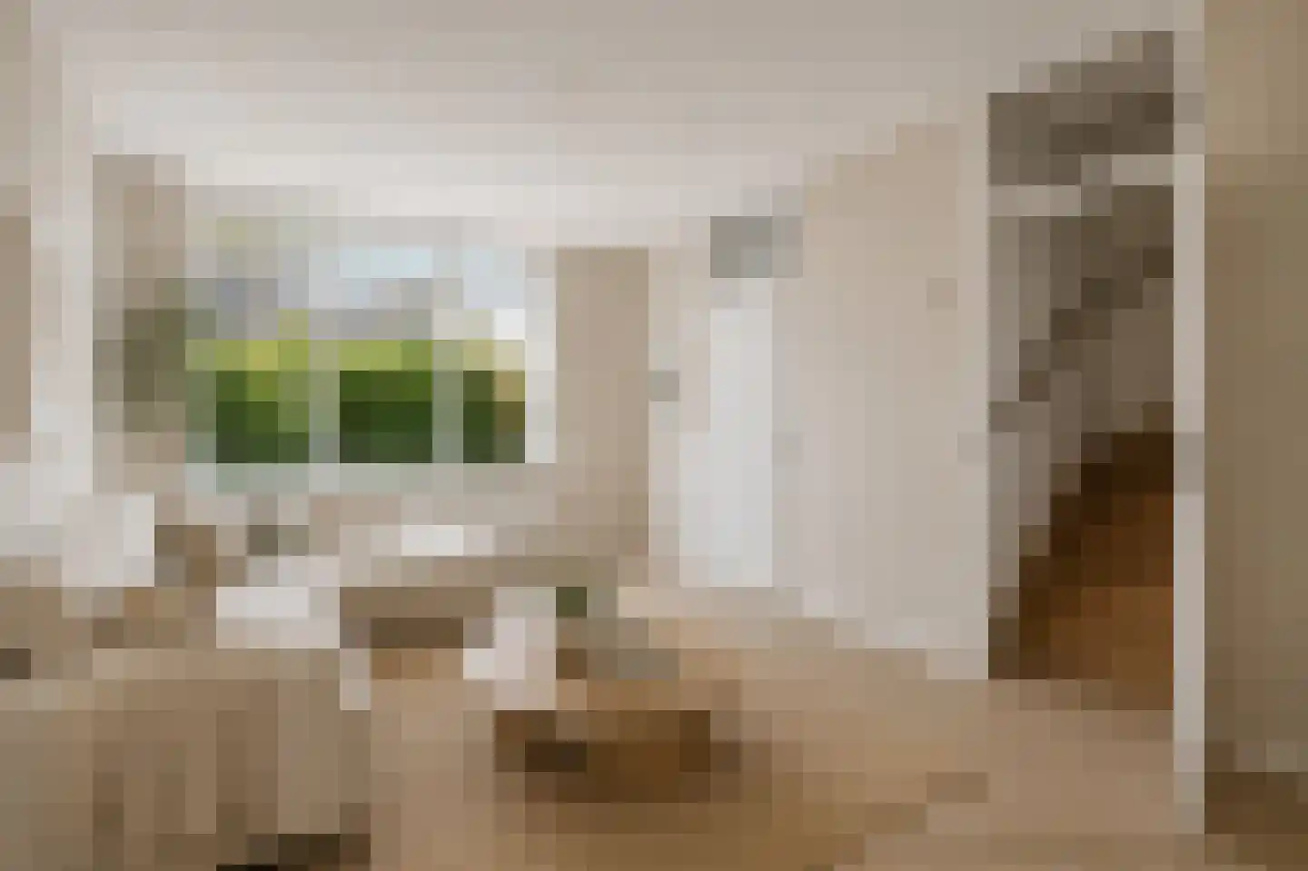 Monnetstede 20 Goes thumbnail 4