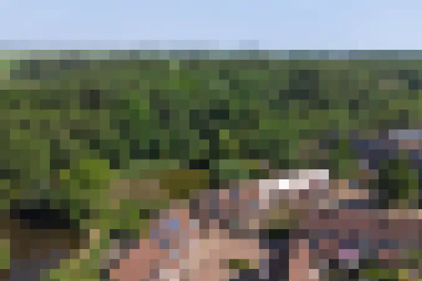Monnetstede 20 Goes thumbnail 6