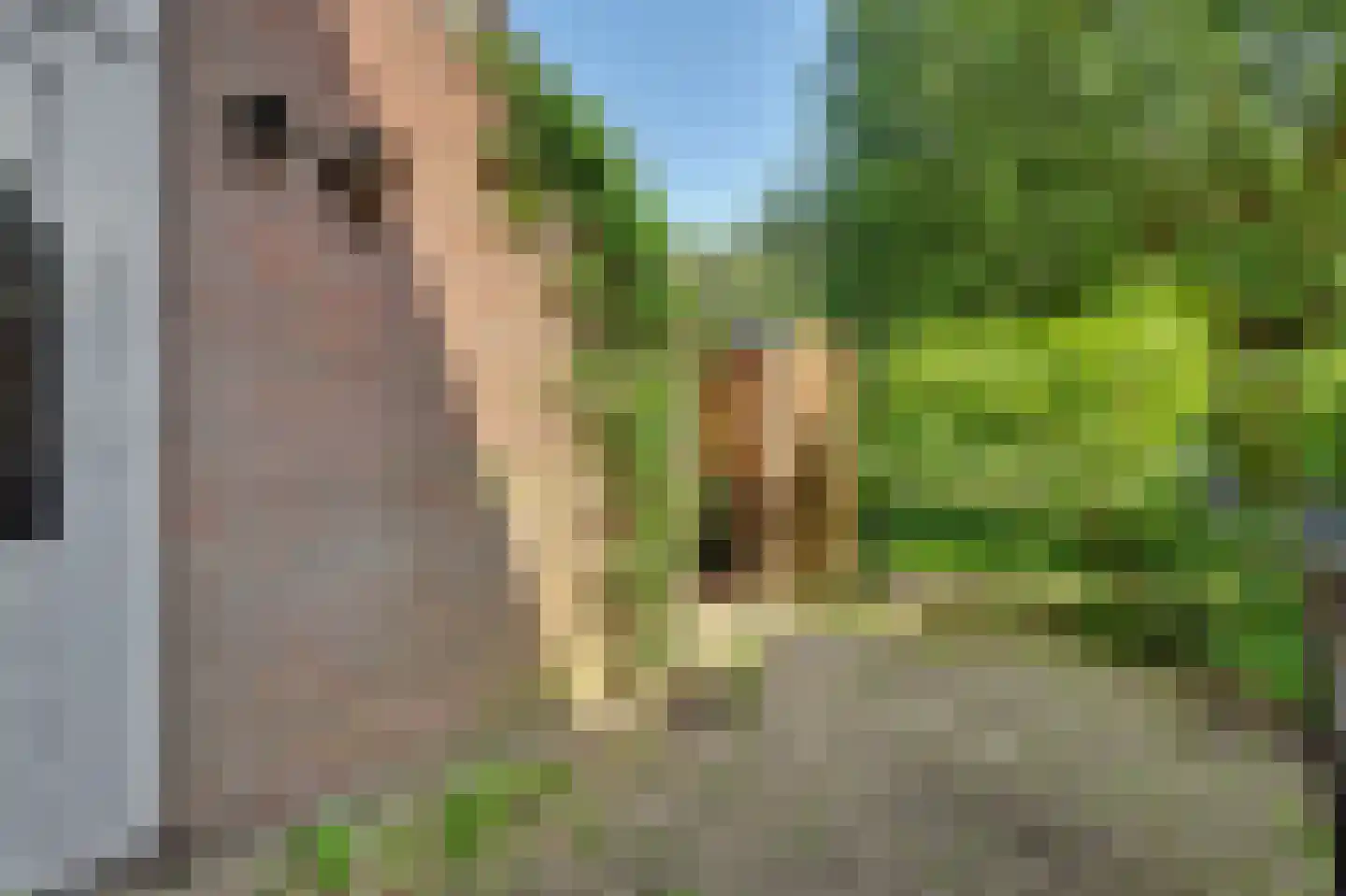 Monnetstede 20 Goes thumbnail 7