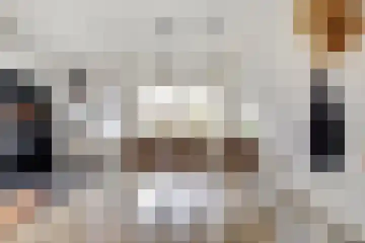 Monnetstede 36 Goes thumbnail 11