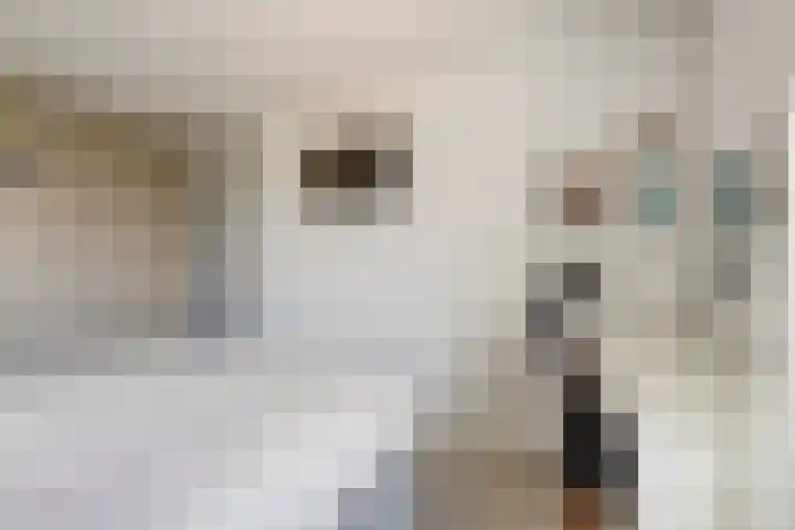 Monnetstede 36 Goes thumbnail 17