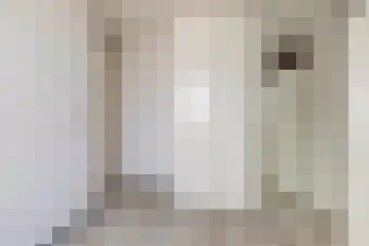 Monnetstede 36 Goes thumbnail 23