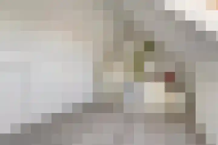Monnetstede 36 Goes thumbnail 25