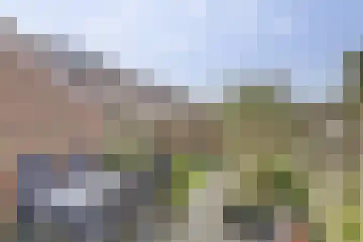 Monnetstede 36 Goes thumbnail 27