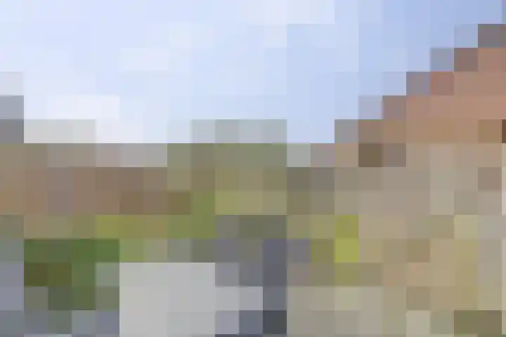 Monnetstede 36 Goes thumbnail 28