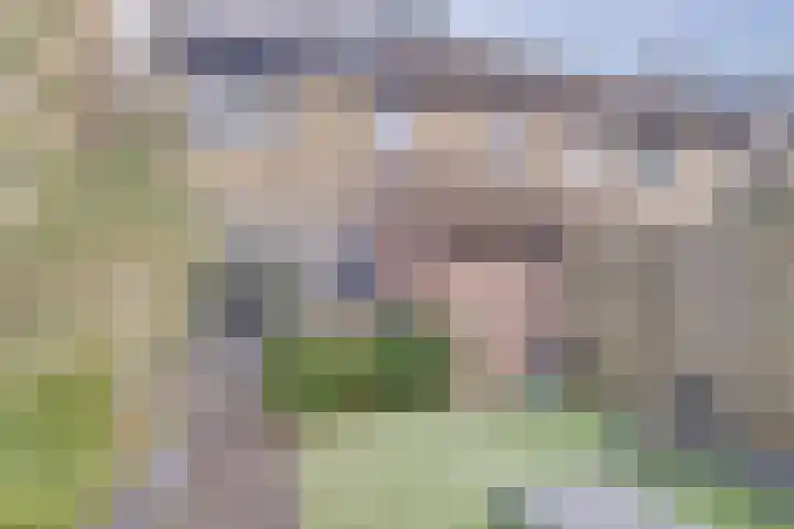 Monnetstede 36 Goes thumbnail 29