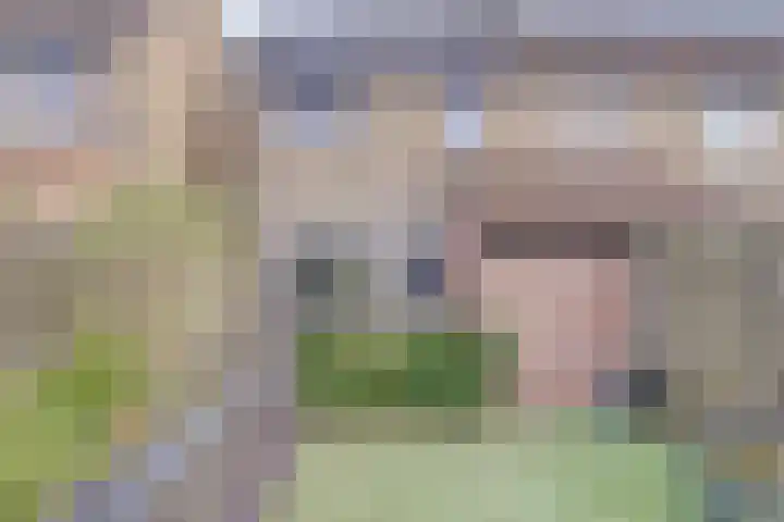 Monnetstede 36 Goes thumbnail 31