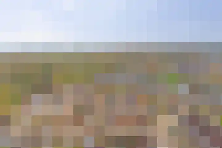 Monnetstede 36 Goes thumbnail 33