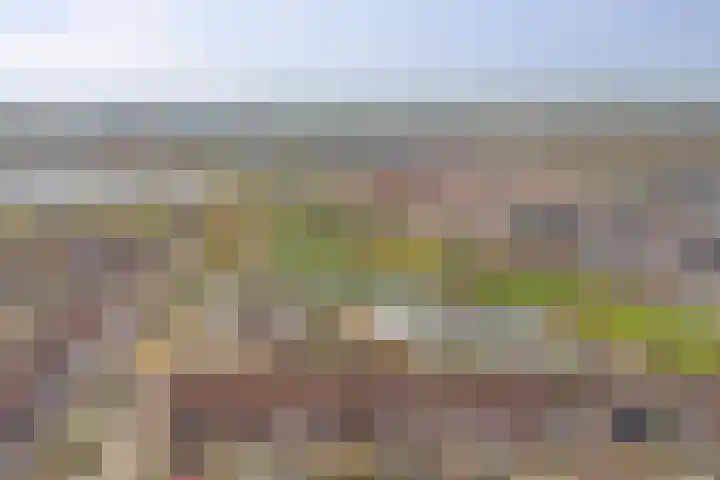 Monnetstede 36 Goes thumbnail 34