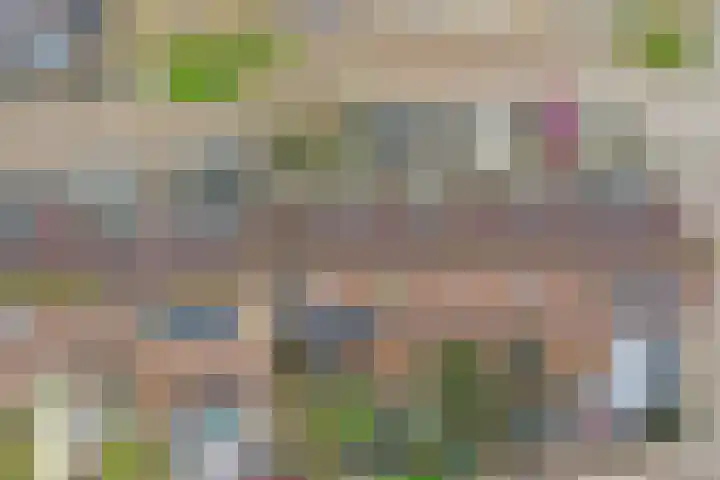 Monnetstede 36 Goes thumbnail 35