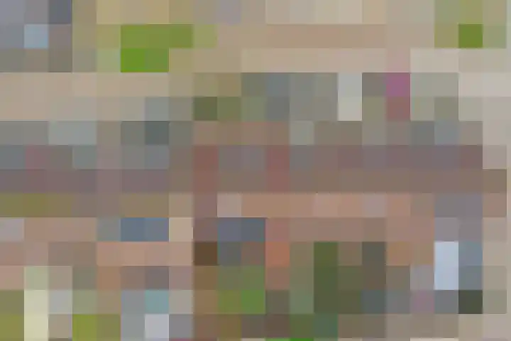 Monnetstede 36 Goes thumbnail 36