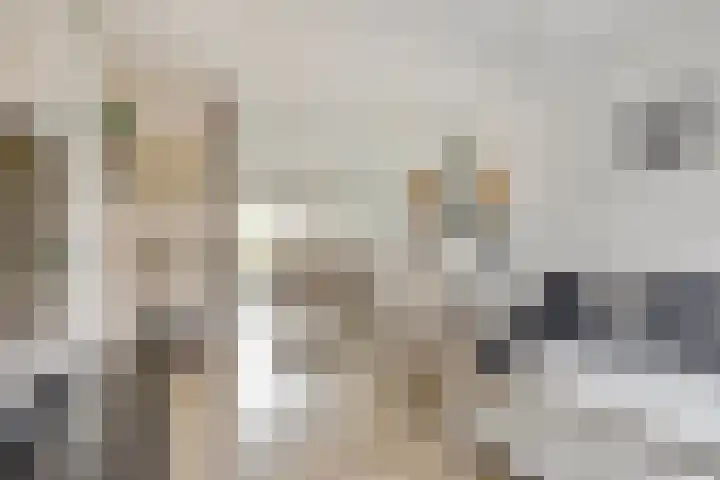 Monnetstede 36 Goes thumbnail 7