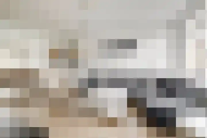 Monnetstede 36 Goes thumbnail 8