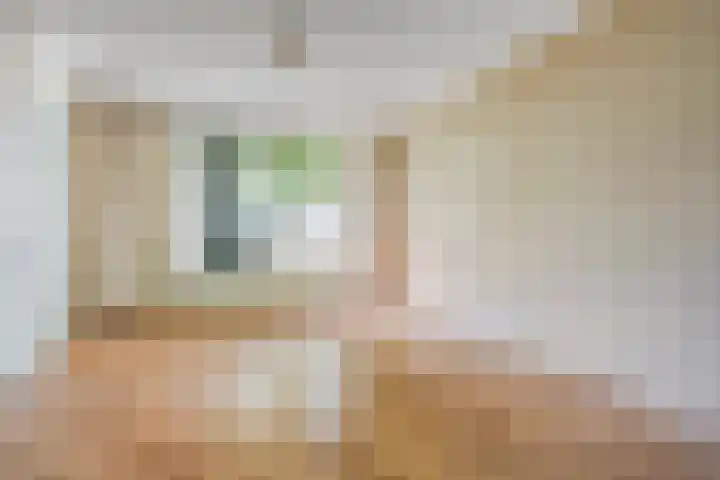 Monnetstede 52 Goes thumbnail 10