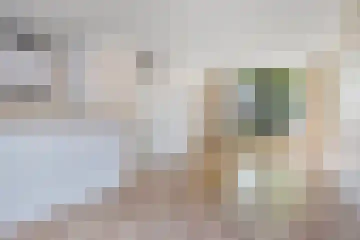 Monnetstede 52 Goes thumbnail 11