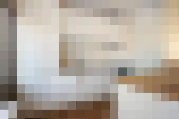 Monnetstede 52 Goes thumbnail 13